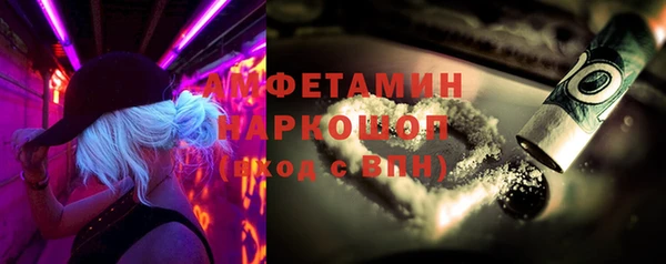 гидра Володарск