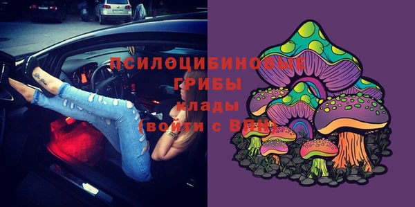 гидра Володарск
