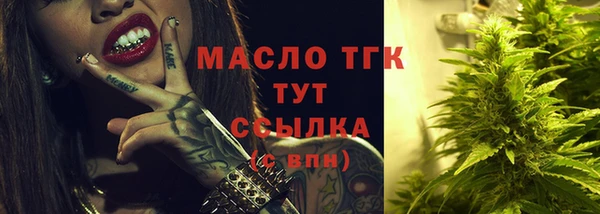 гидра Володарск