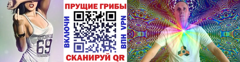 Купить где  Бузулук  Псилоцибиновые грибы Psilocybe 