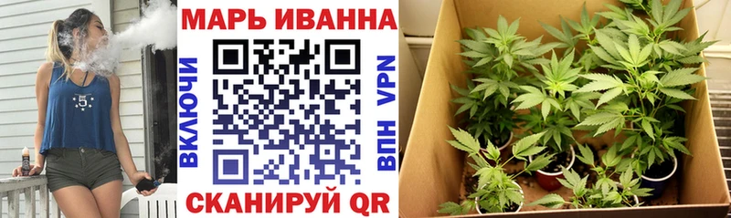 Купить где Бузулук Шишки марихуана сатива